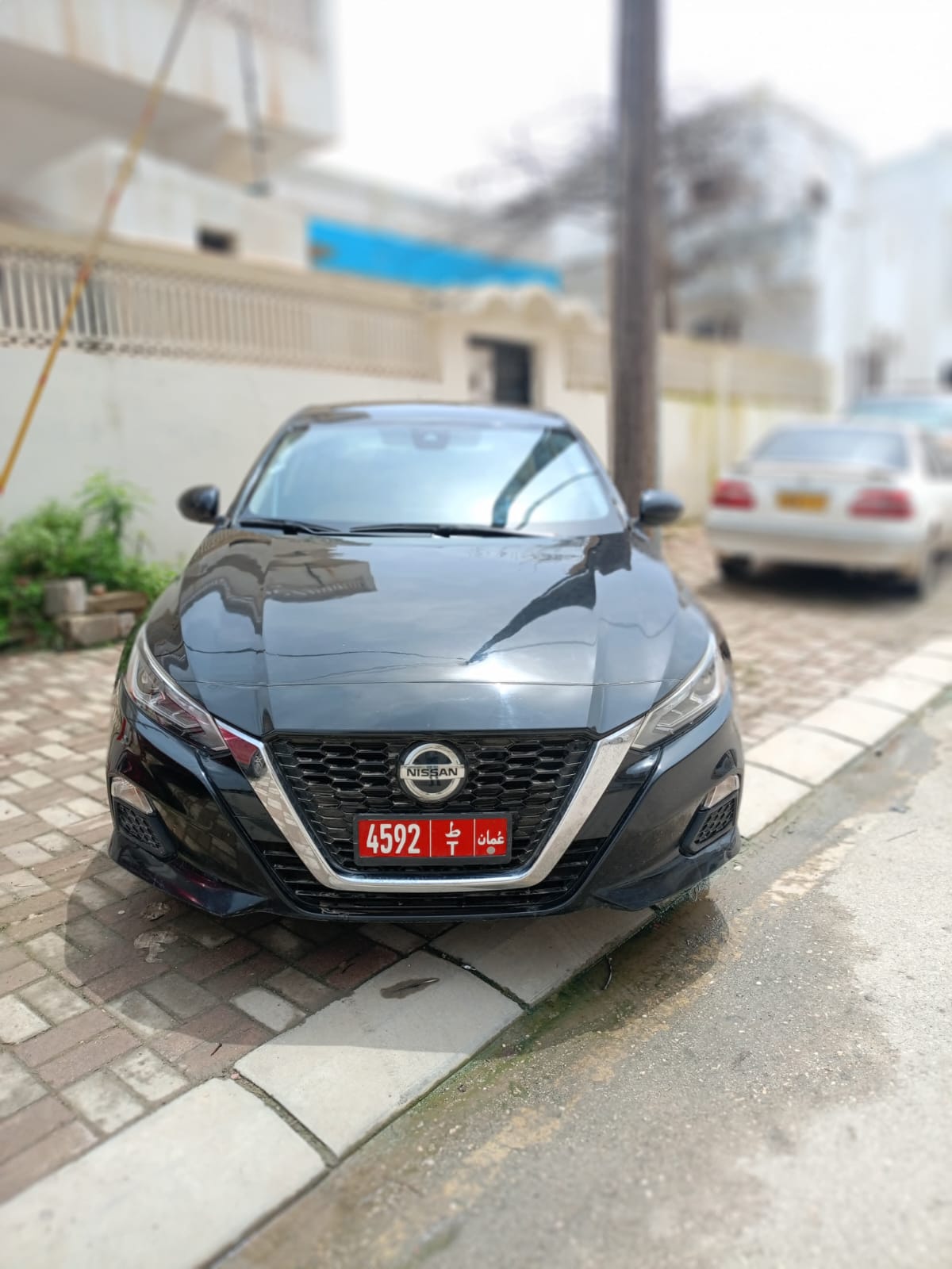 Nissan - Altima — Picture 4